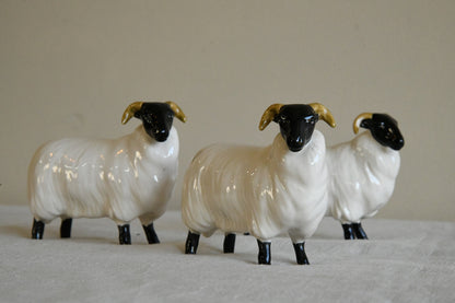 Beswick Black Face Rams