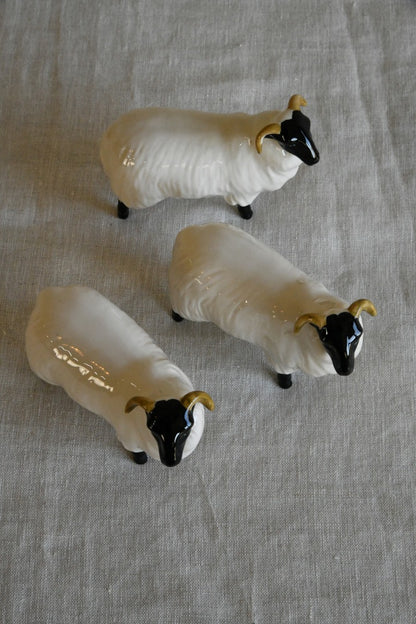 Beswick Black Face Rams