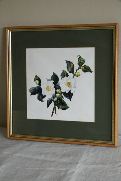 Dora Lowe Watercolour Camellia