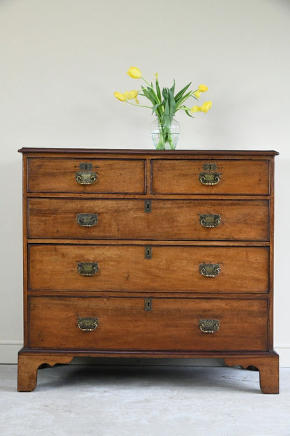 Georgian Mahogany Cross Banded Chest of Drawers