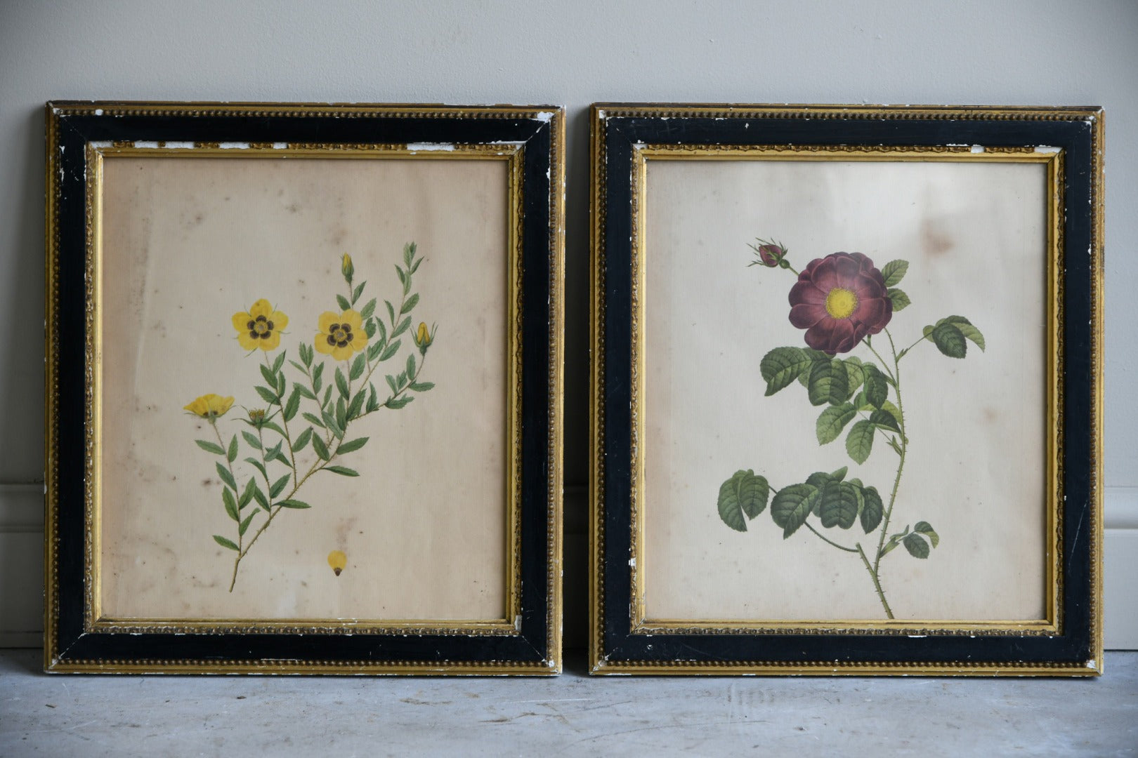 Pair Antique Floral French Prints