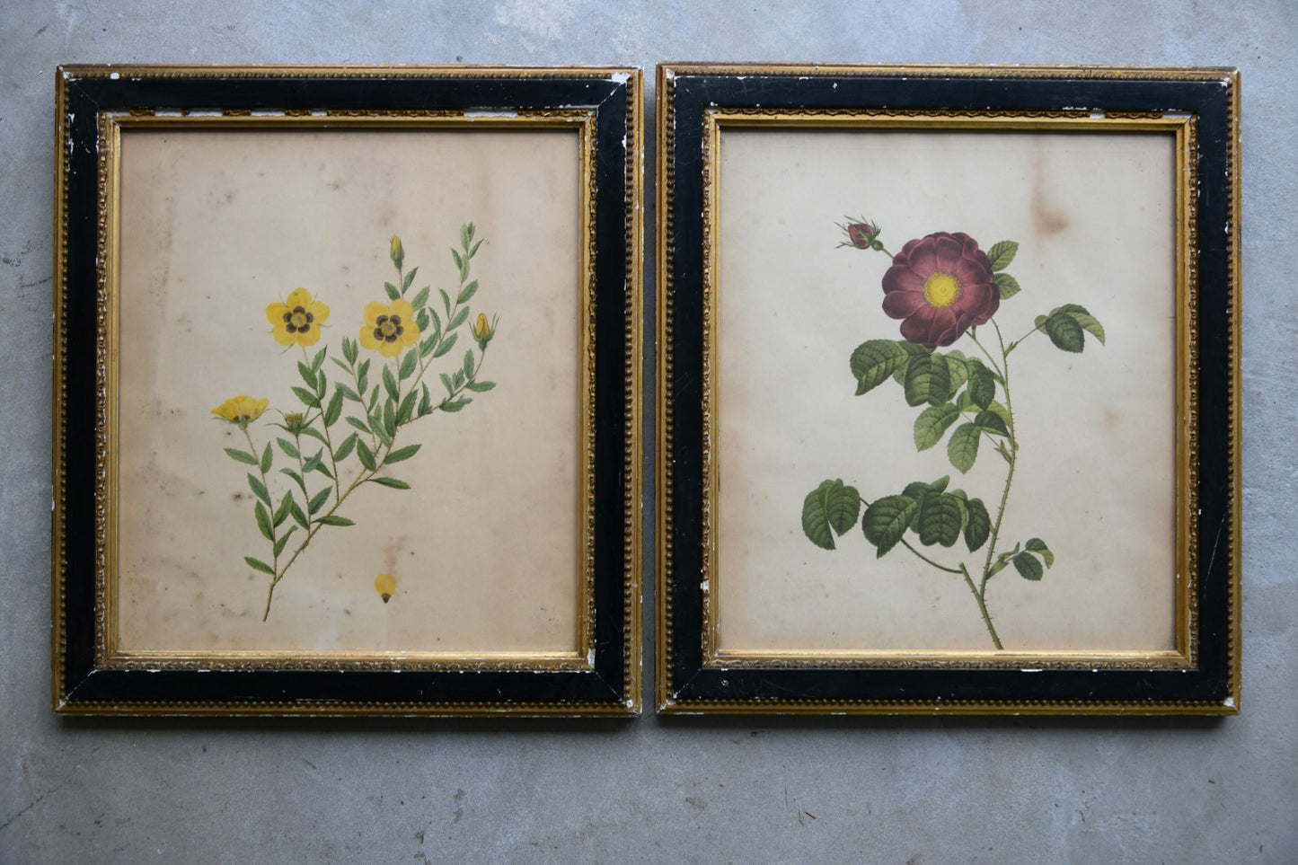 Pair Antique Floral French Prints