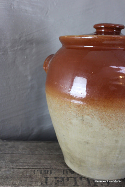 Large Stoneware Jar & Lid - Kernow Furniture