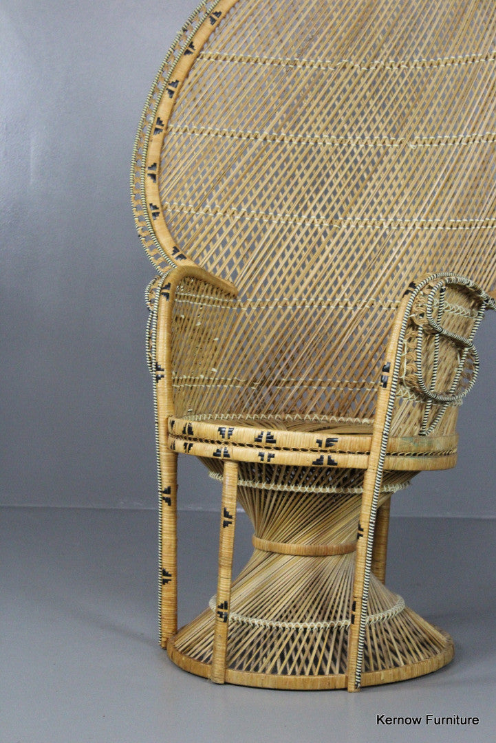 Retro Rattan Peacock Armchair - Kernow Furniture