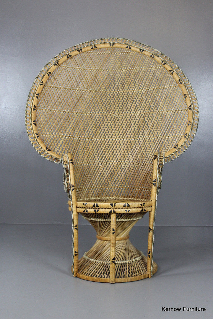 Retro Rattan Peacock Armchair - Kernow Furniture