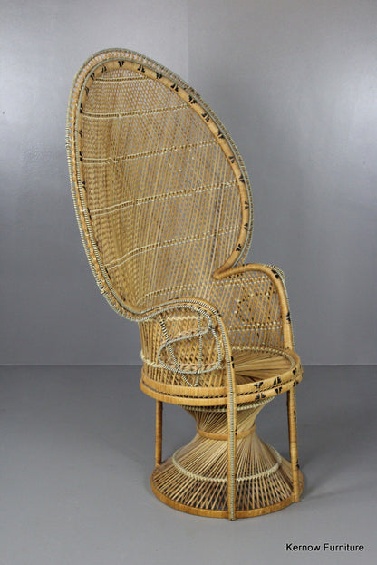 Retro Rattan Peacock Armchair - Kernow Furniture