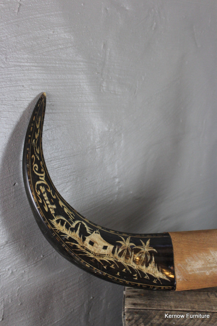 Water Buffalo Horns - Kernow Furniture