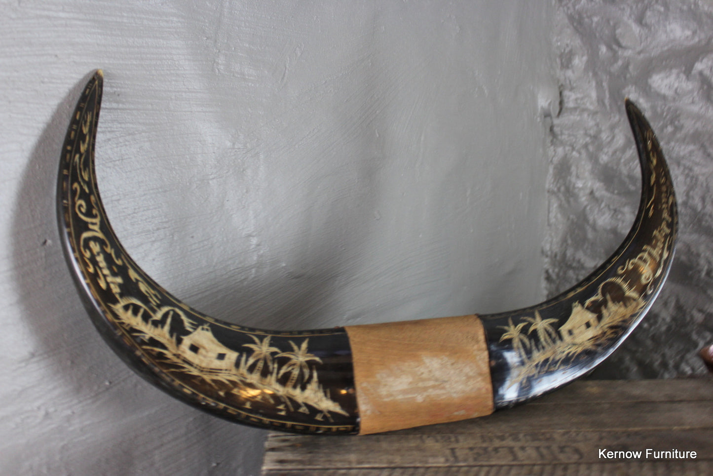 Water Buffalo Horns - Kernow Furniture