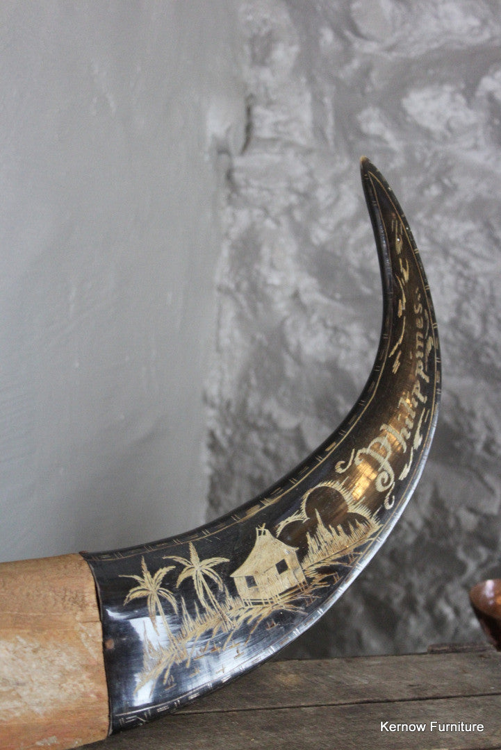 Water Buffalo Horns - Kernow Furniture