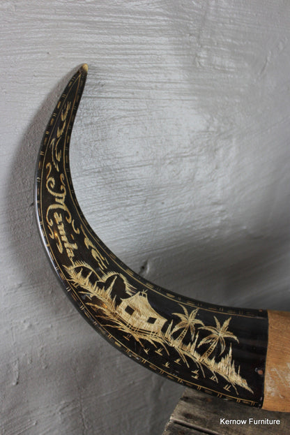 Water Buffalo Horns - Kernow Furniture