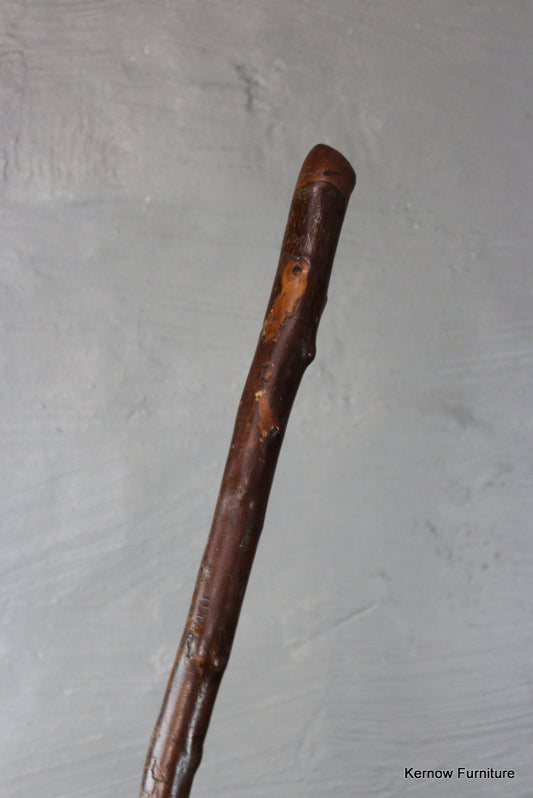 Vintage Walking Stick - Kernow Furniture