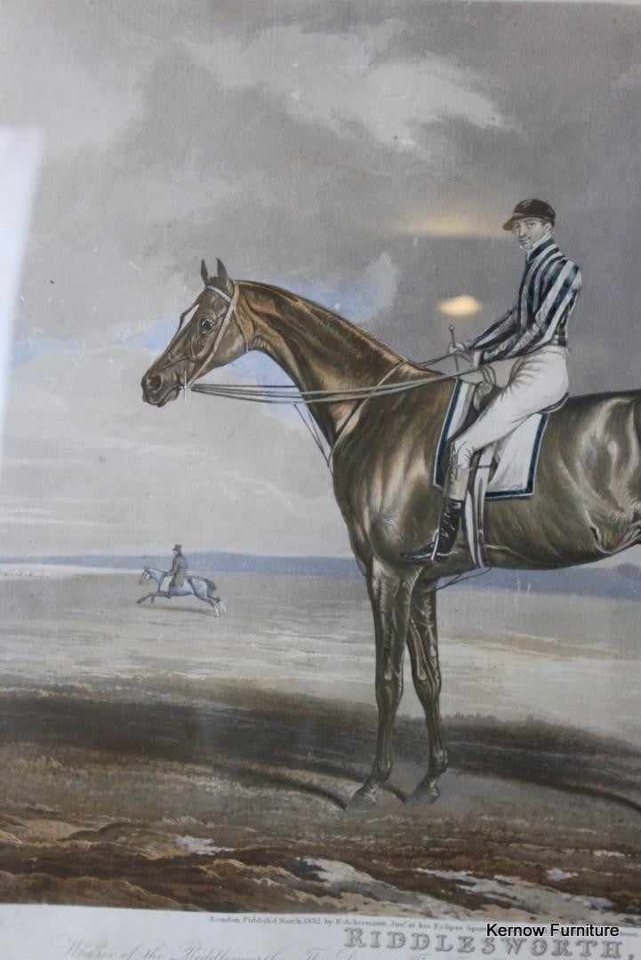 Riddlesworth Racehorse Framed Print - Kernow Furniture