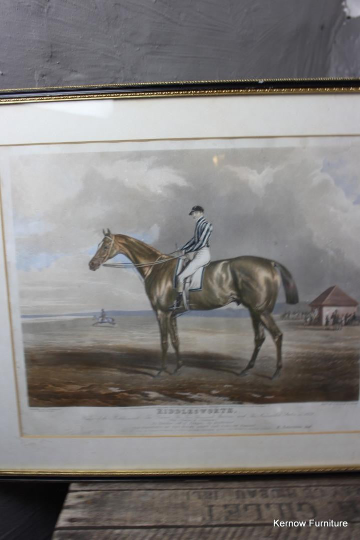 Riddlesworth Racehorse Framed Print - Kernow Furniture