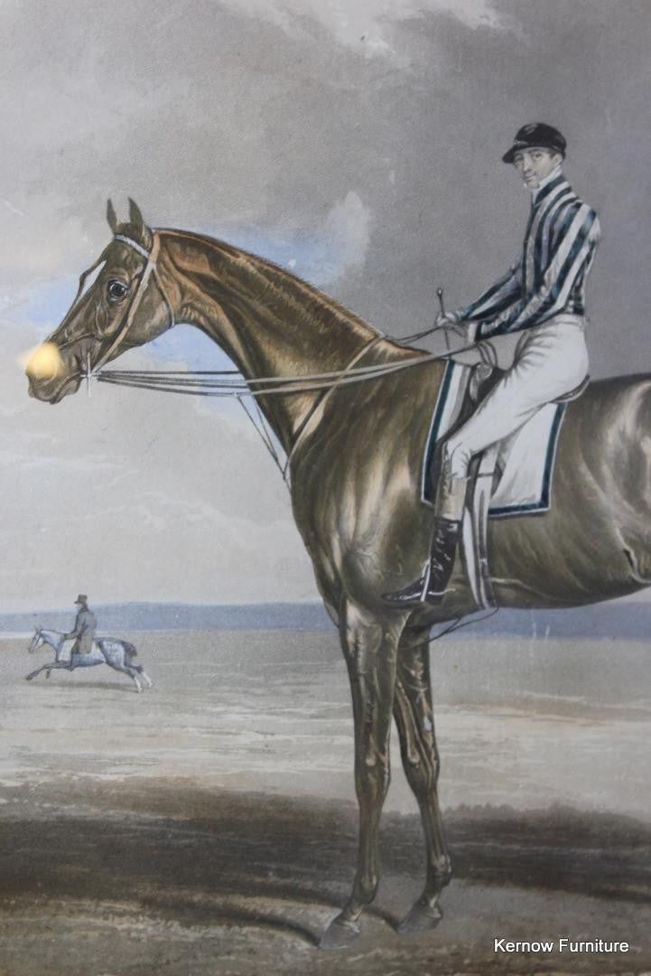 Riddlesworth Racehorse Framed Print - Kernow Furniture