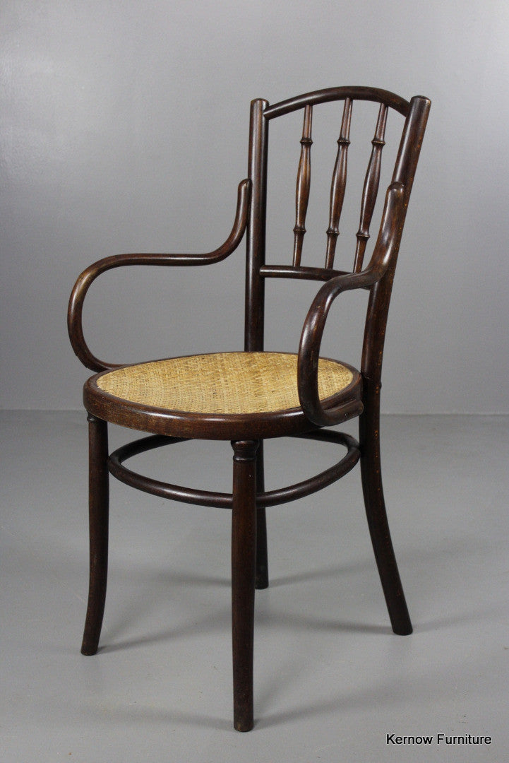 Fischel Bentwood Chair - Kernow Furniture