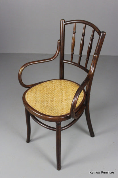 Fischel Bentwood Chair - Kernow Furniture