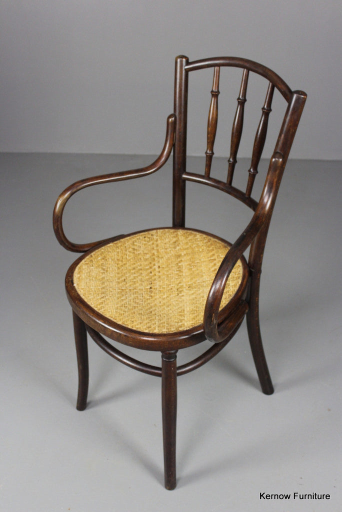 Fischel Bentwood Chair - Kernow Furniture