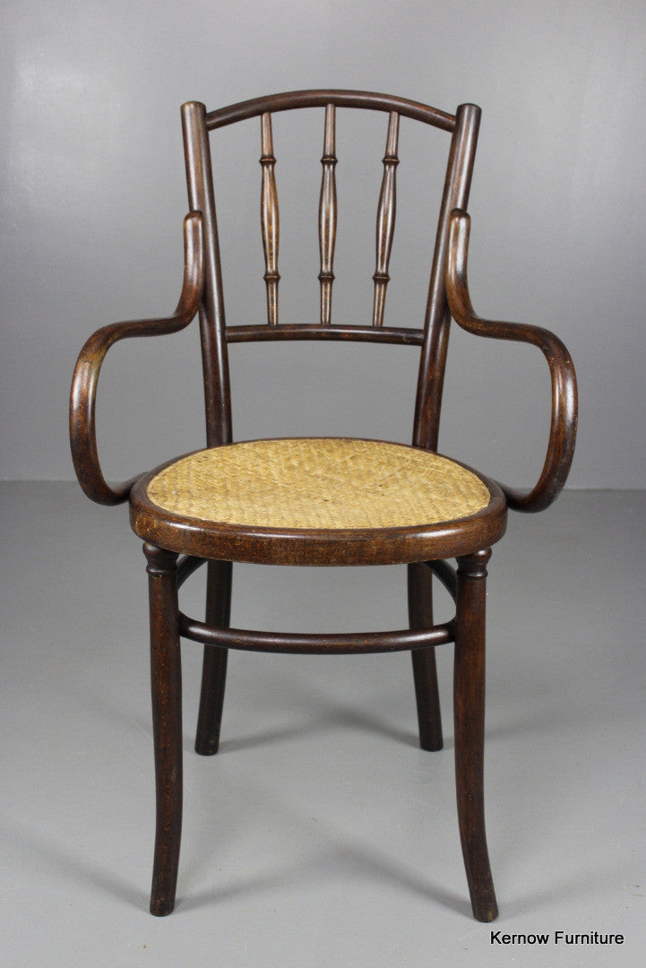 Fischel Bentwood Chair - Kernow Furniture