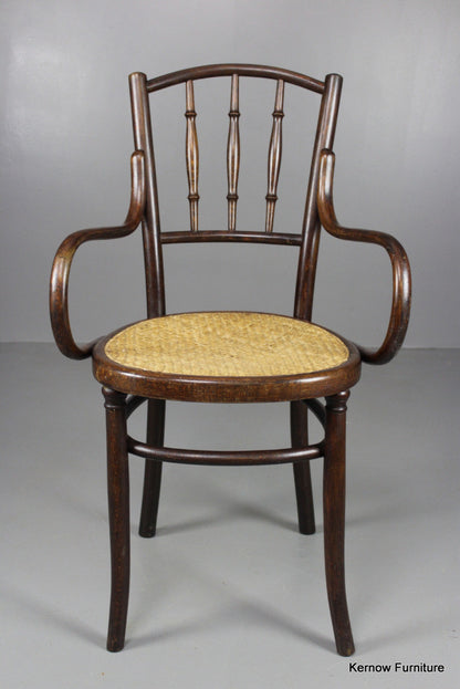 Fischel Bentwood Chair - Kernow Furniture