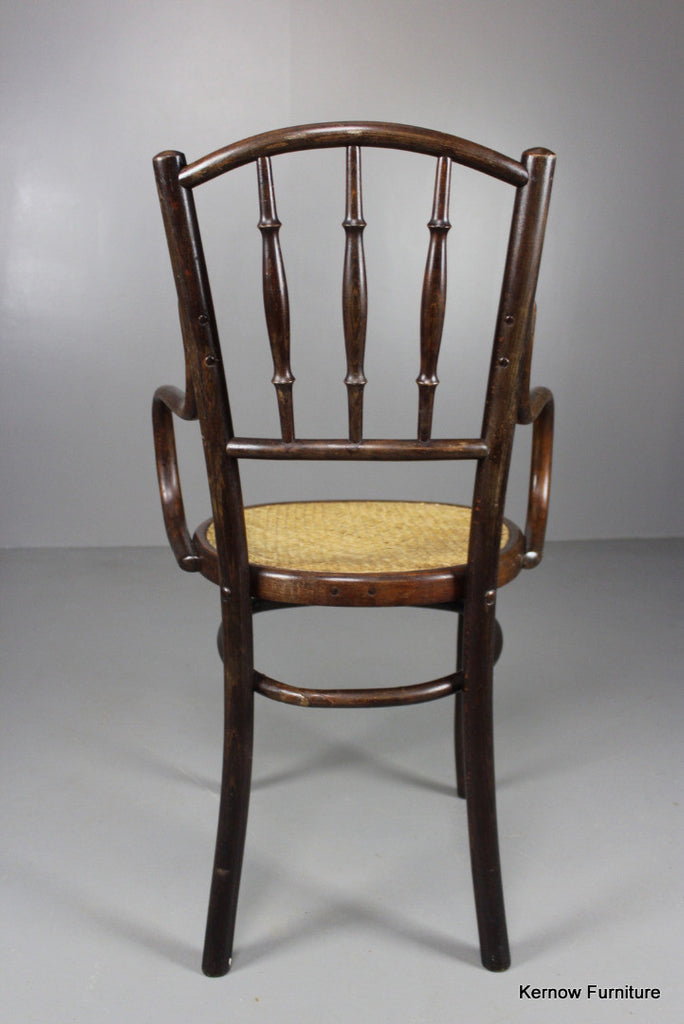 Fischel Bentwood Chair - Kernow Furniture