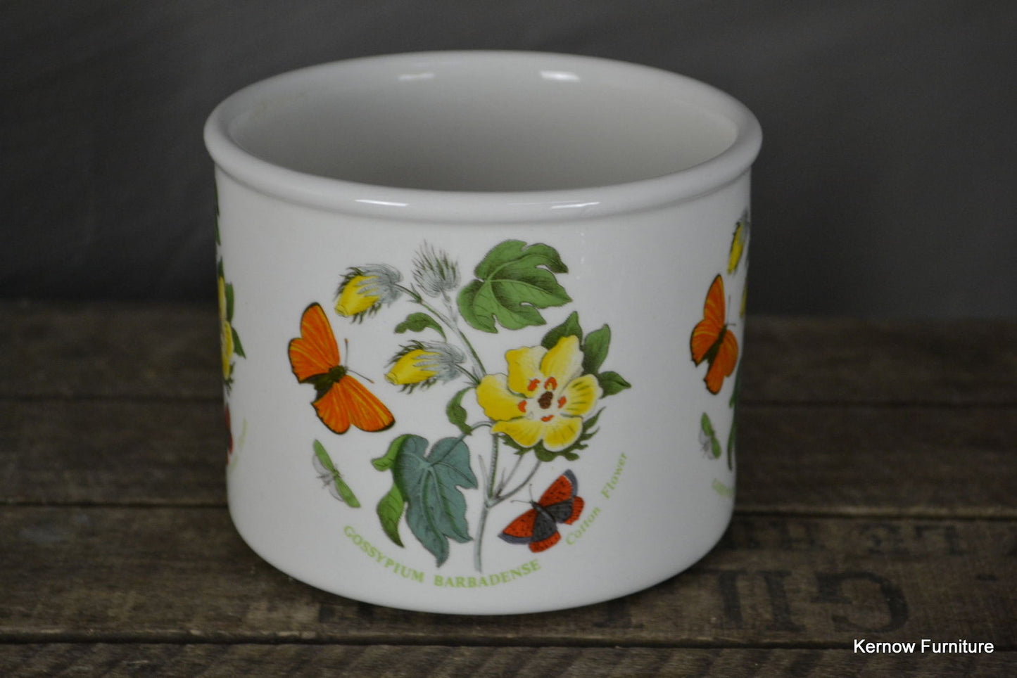 Portmeirion Botanic Garden Flower Pot - Kernow Furniture