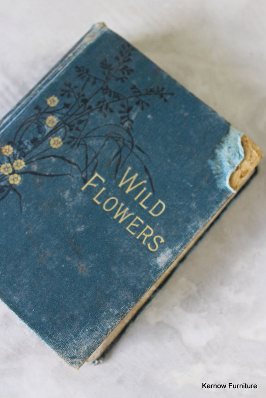 Wild Flowers Vintage Book - Kernow Furniture