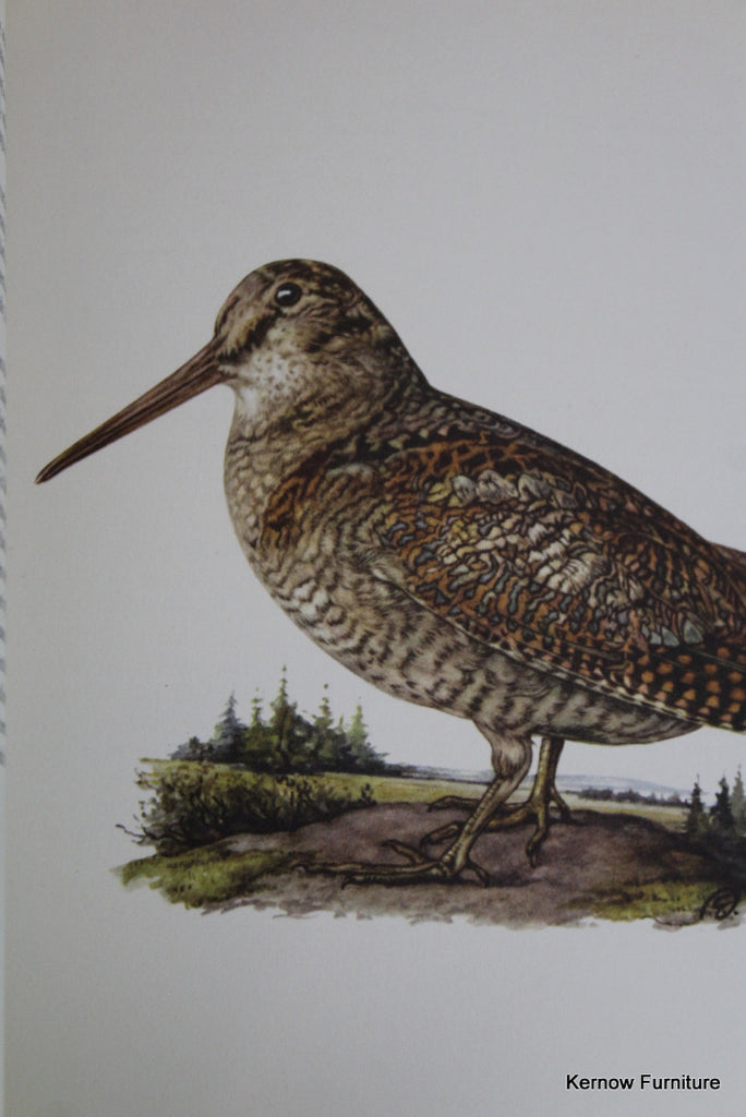 Birds of Heath & Marshland - Kernow Furniture