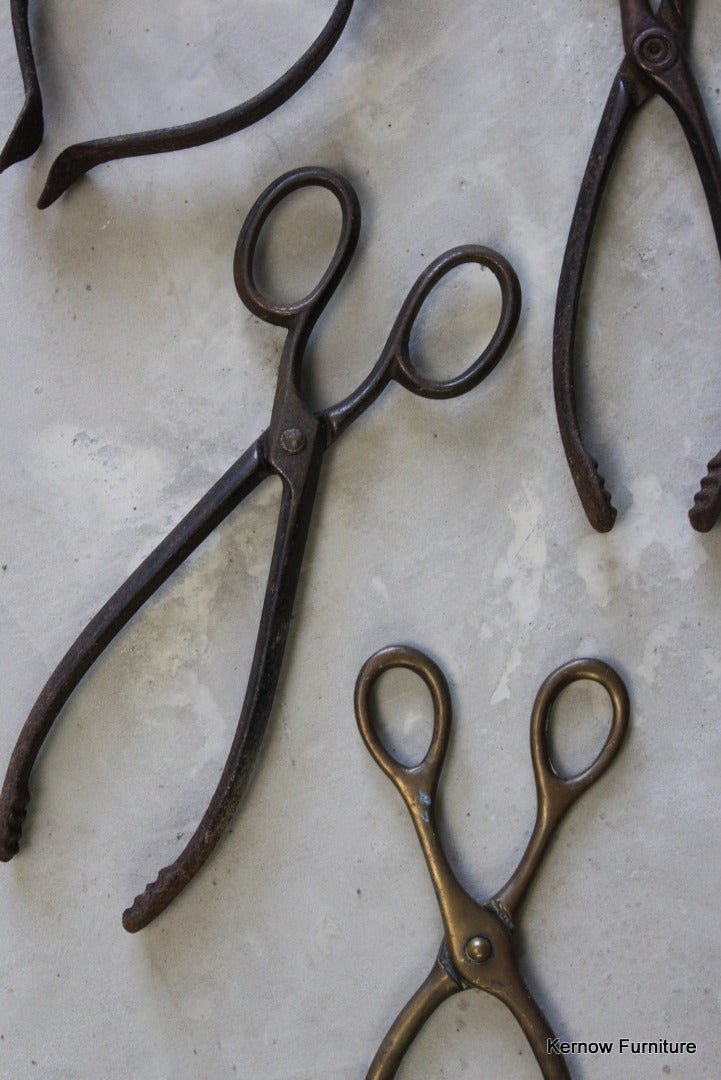 Coal Tongs - Kernow Furniture