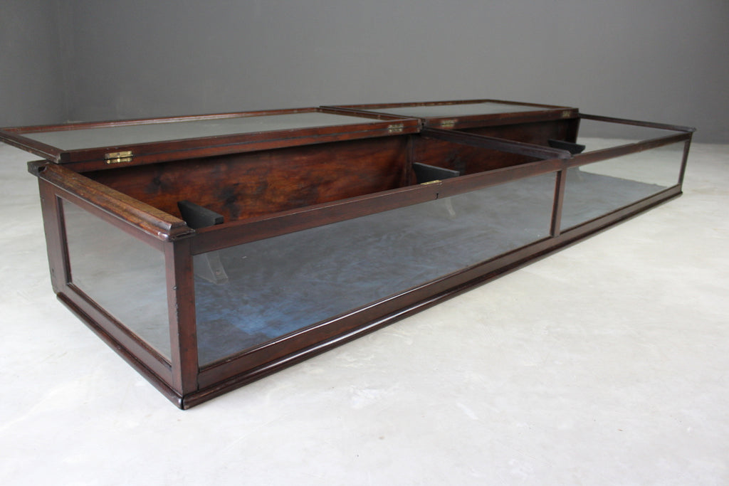 Antique Counter Top Display Cabinet - Kernow Furniture