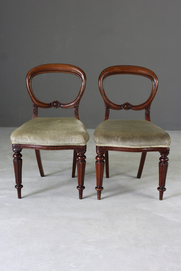 Pair Mahogany Balloon Back Dining Chairs - Kernow Furniture