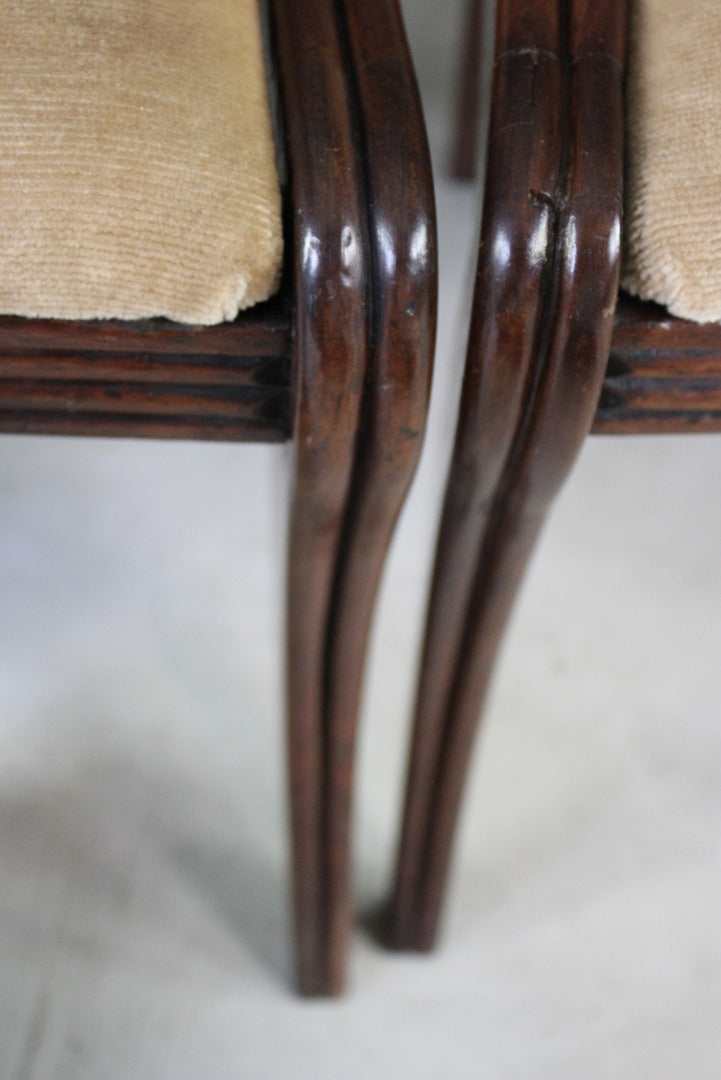 19th Century Mahogany Dining Chairs - Kernow Furniture