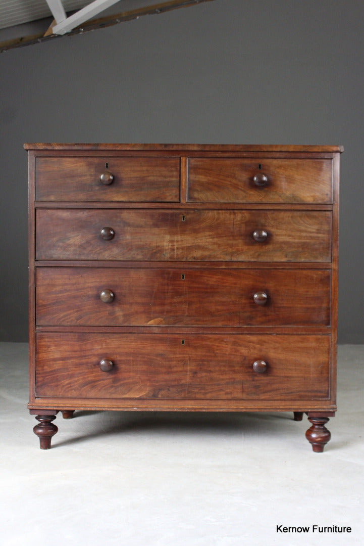 Antique Mahogany Chest of Drawers - Kernow Furniture