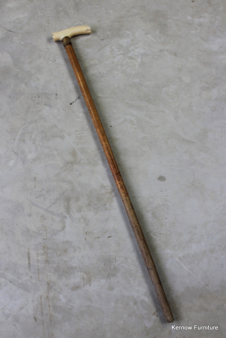 Vintage Bone Handle Walking Cane - Kernow Furniture