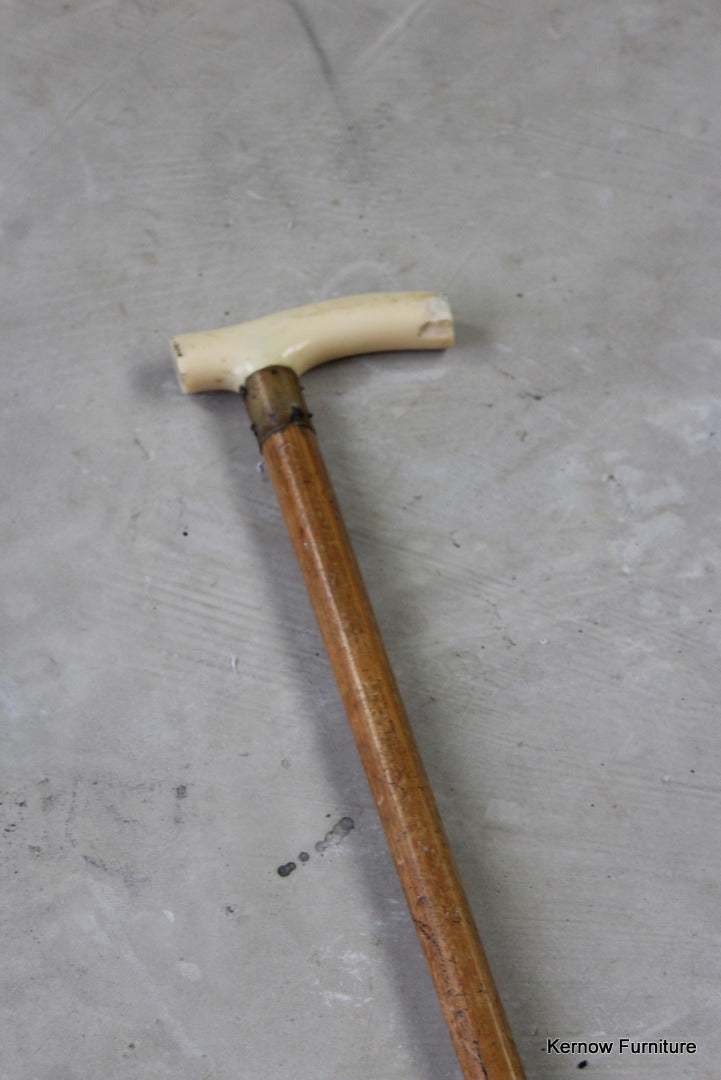 Vintage Bone Handle Walking Cane - Kernow Furniture