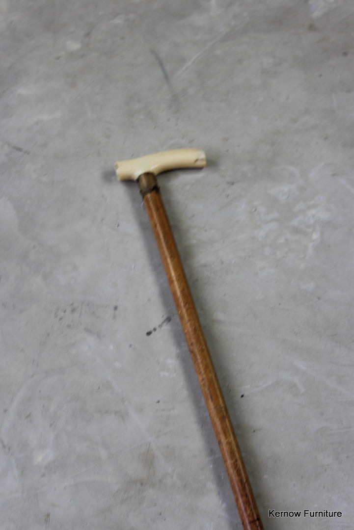 Vintage Bone Handle Walking Cane - Kernow Furniture