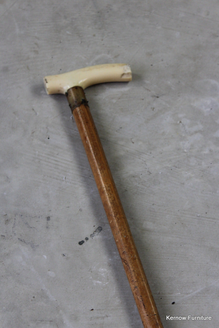 Vintage Bone Handle Walking Cane - Kernow Furniture