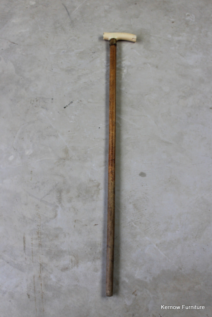 Vintage Bone Handle Walking Cane - Kernow Furniture