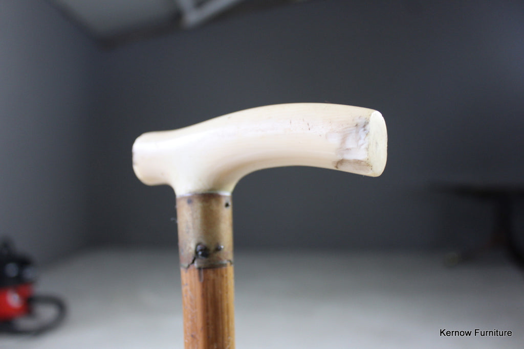 Vintage Bone Handle Walking Cane - Kernow Furniture
