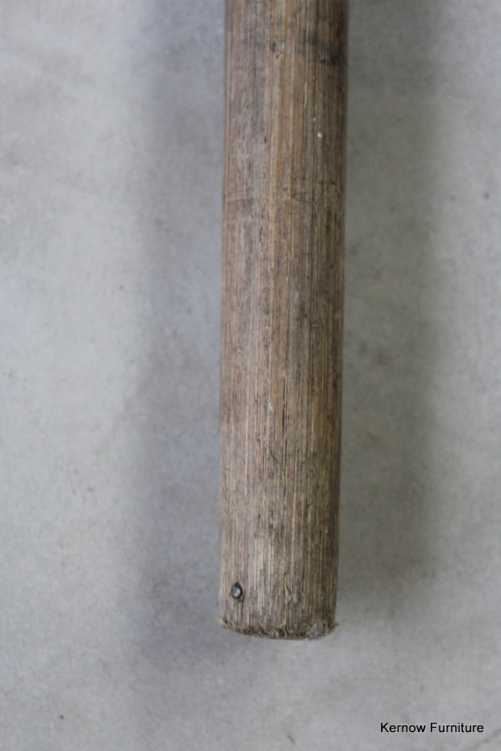 Vintage Bone Handle Walking Cane - Kernow Furniture