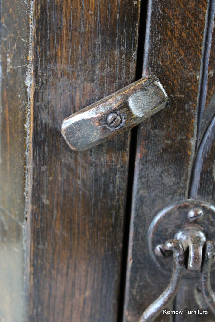 Carved Oak Cupboard - Kernow Furniture