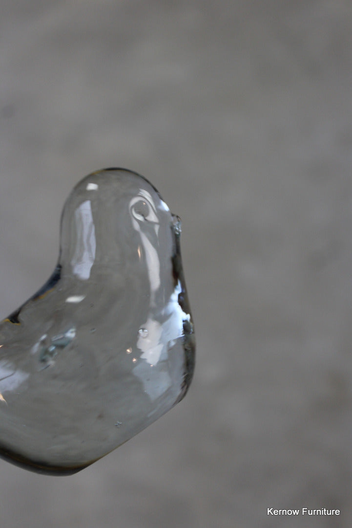 Glass Bird Paperweight - Kernow Furniture