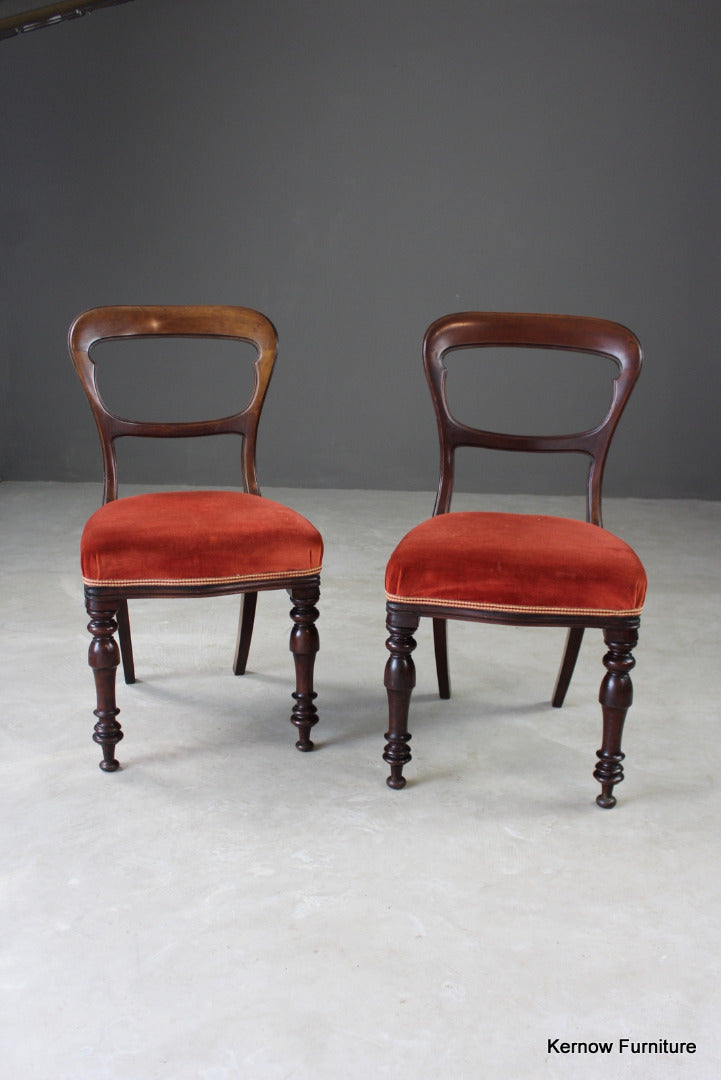 Pair Antique Walnut Dining Chairs - Kernow Furniture