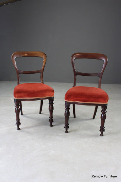 Pair Antique Walnut Dining Chairs - Kernow Furniture
