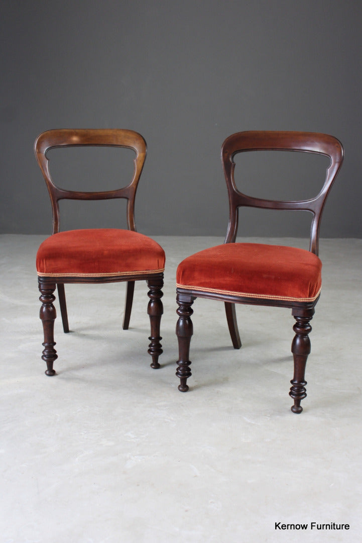 Pair Antique Walnut Dining Chairs - Kernow Furniture