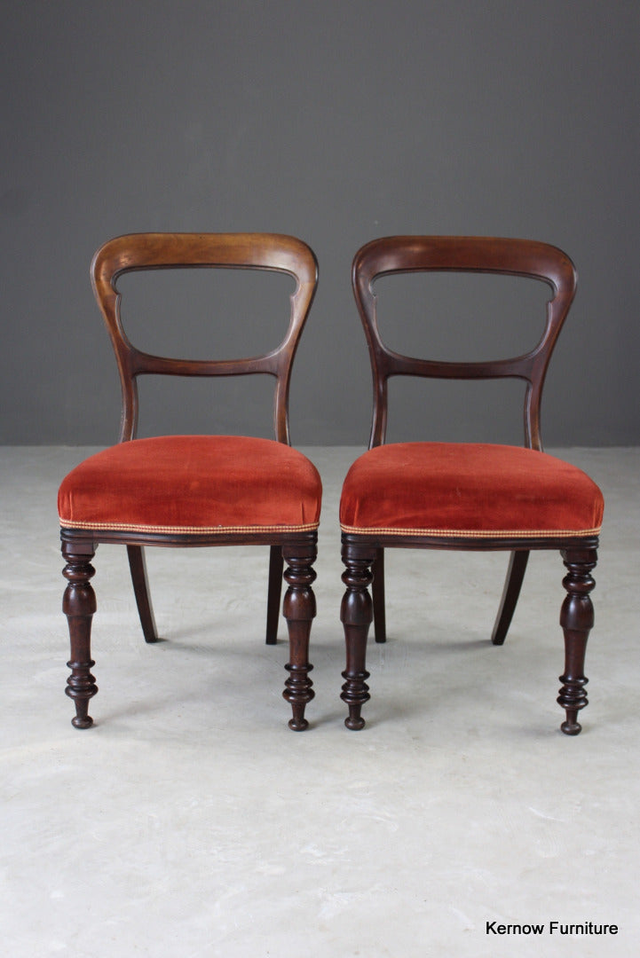 Pair Antique Walnut Dining Chairs - Kernow Furniture