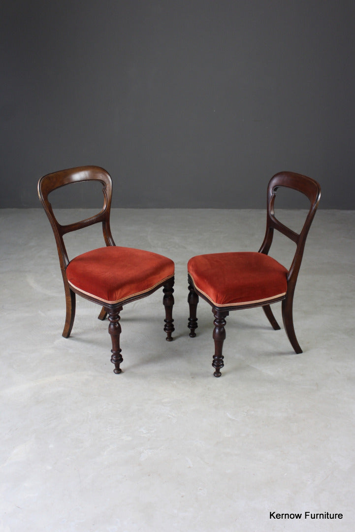 Pair Antique Walnut Dining Chairs - Kernow Furniture