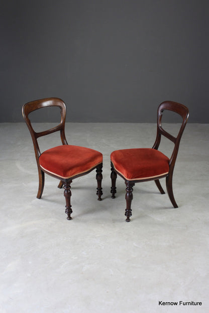 Pair Antique Walnut Dining Chairs - Kernow Furniture