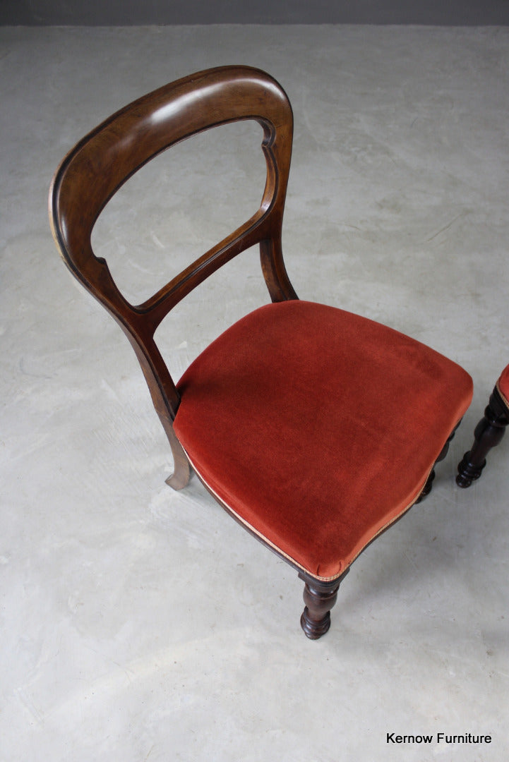Pair Antique Walnut Dining Chairs - Kernow Furniture