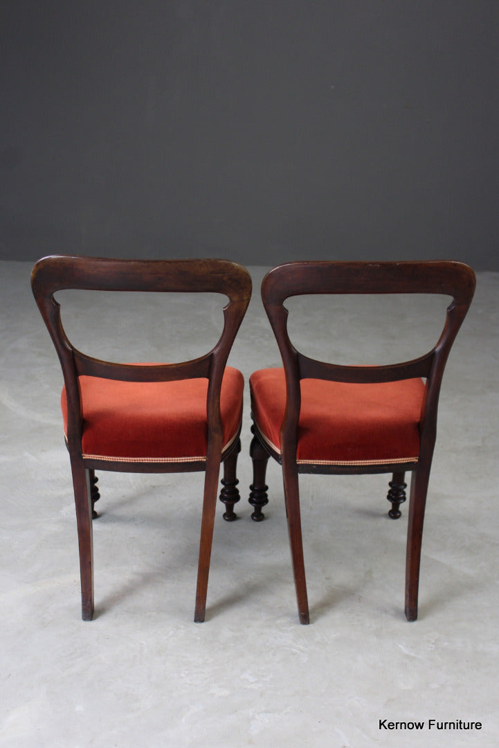 Pair Antique Walnut Dining Chairs - Kernow Furniture