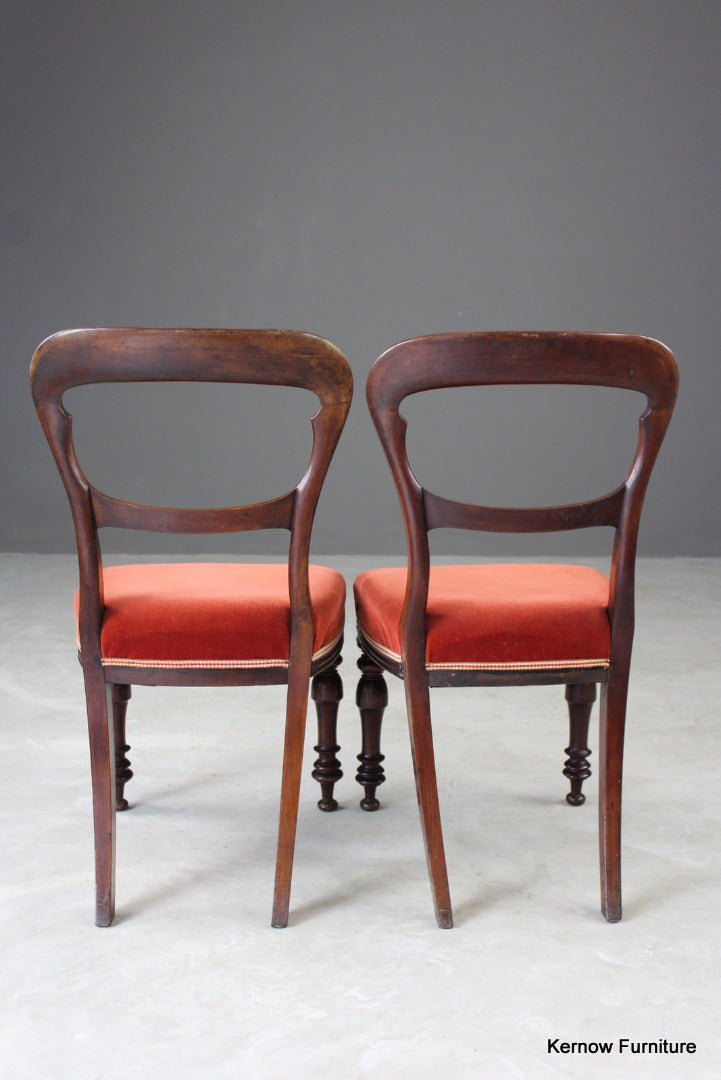 Pair Antique Walnut Dining Chairs - Kernow Furniture